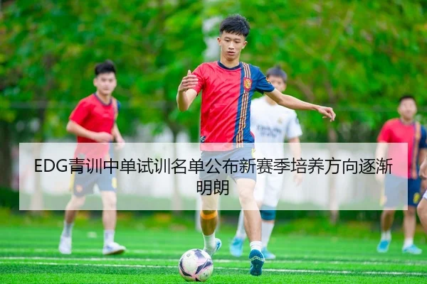 EDG青训中单试训名单公布新赛季培养方向逐渐明朗